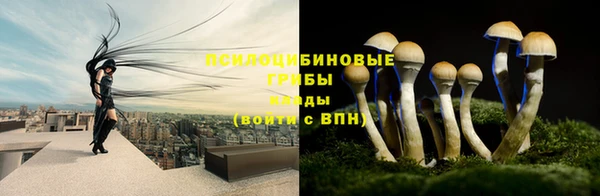 ALPHA PVP Балабаново