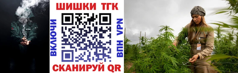Бошки Шишки VHQ Видное